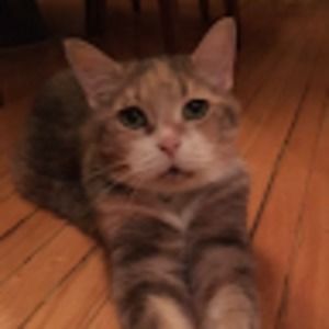 Meet your Posher, Cherie